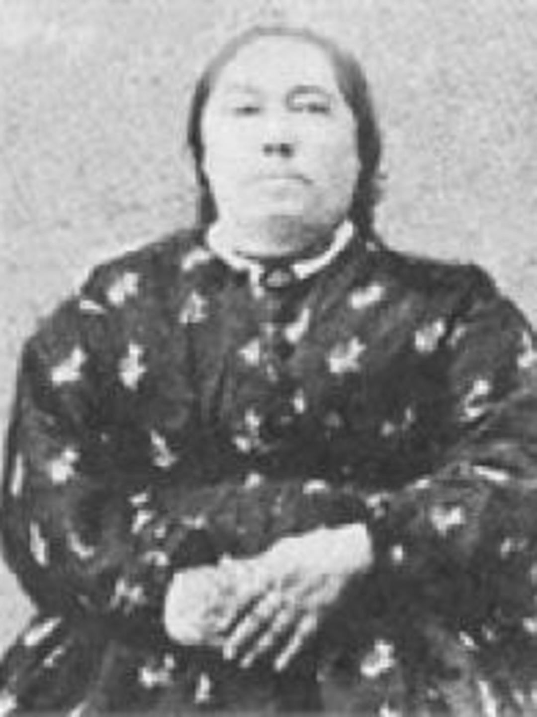 Fanny Workman (1815 - 1894) Profile